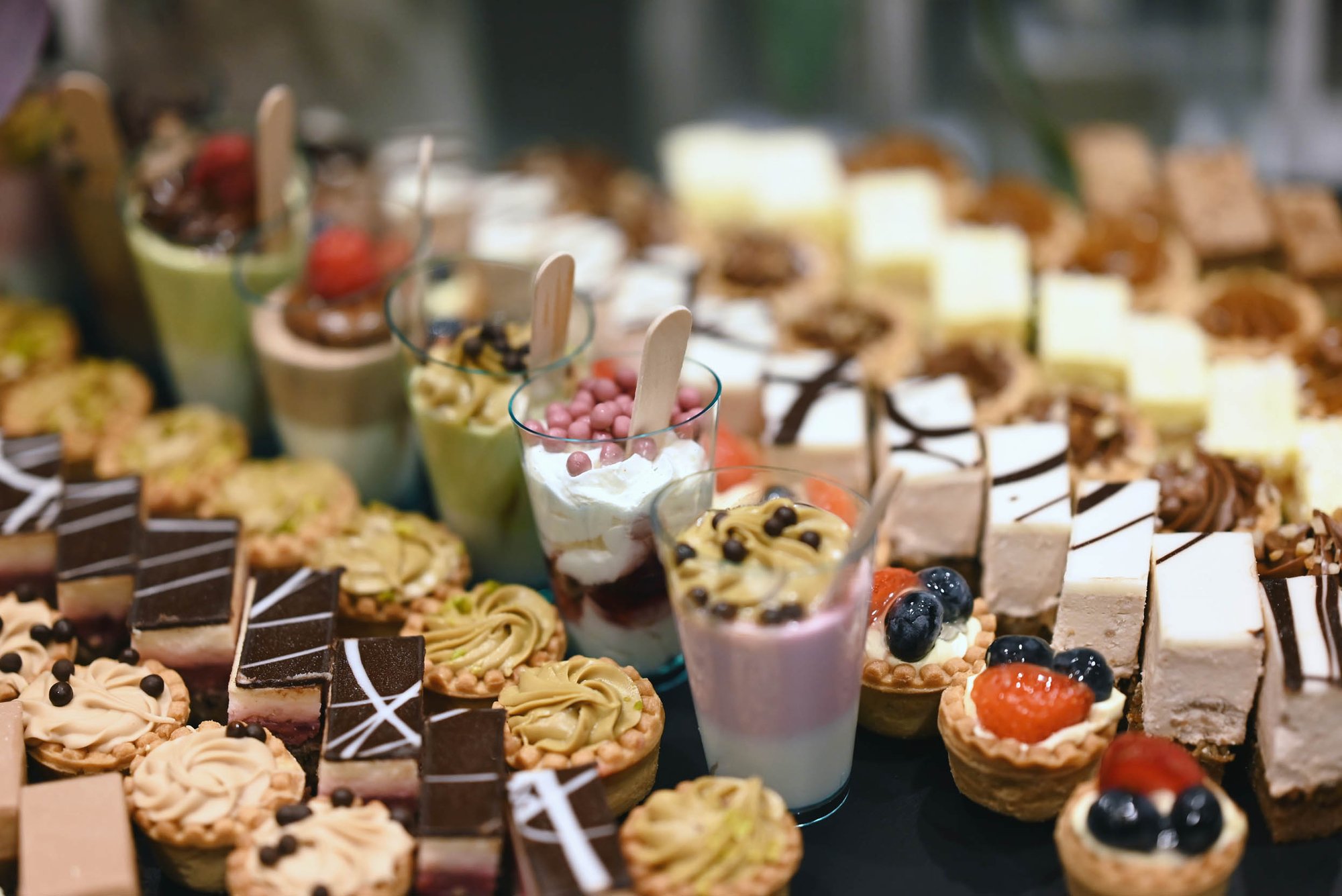 balkan-fraud-summit-6